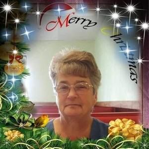 Meet your Posher, Shelley